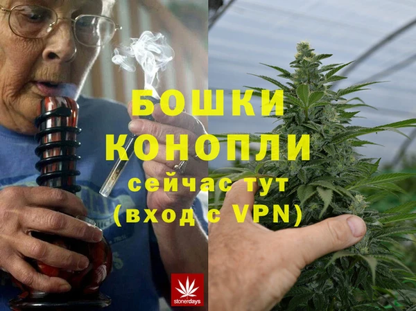молекула духа Каменск-Шахтинский