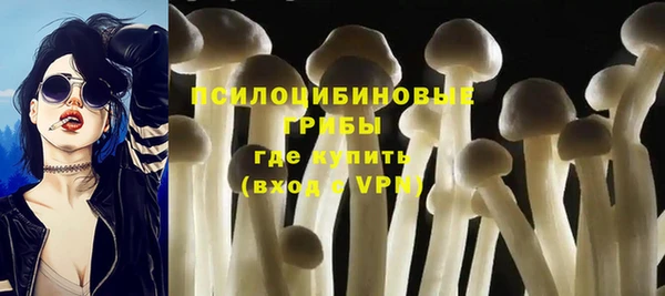 молекула духа Каменск-Шахтинский