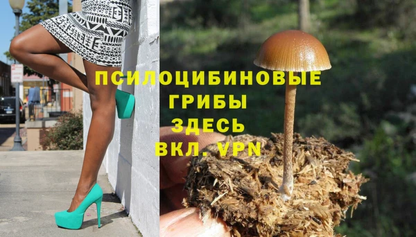 кокаин перу Каменка