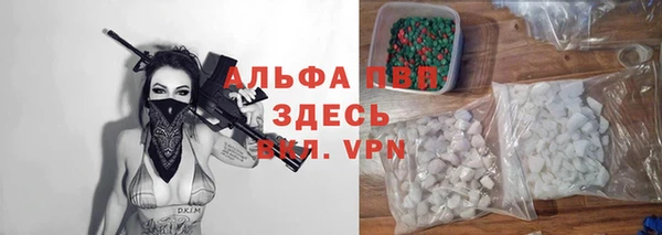 ешки Каменногорск