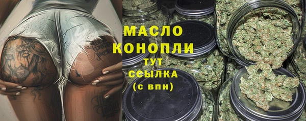 молекула духа Каменск-Шахтинский