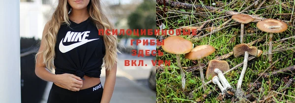 ешки Каменногорск