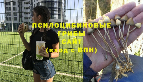 ешки Каменногорск