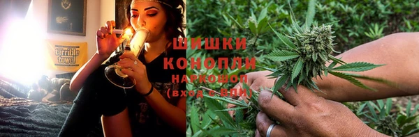 ешки Каменногорск