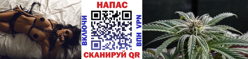 Купить закладки  Дальнегорск  Канабис MAZAR 